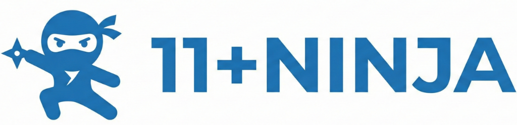 11PlusNinja